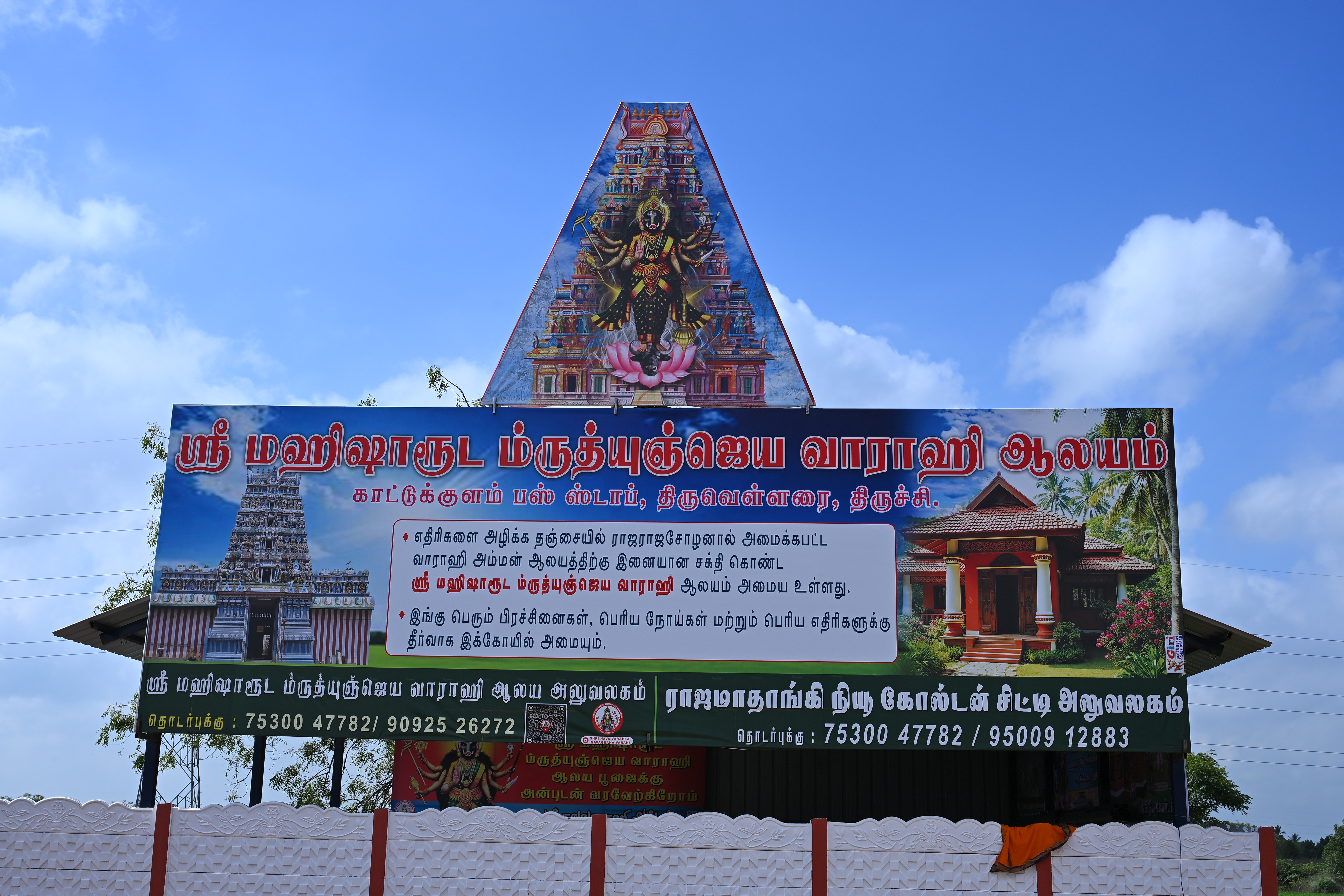 Festival Celebrations