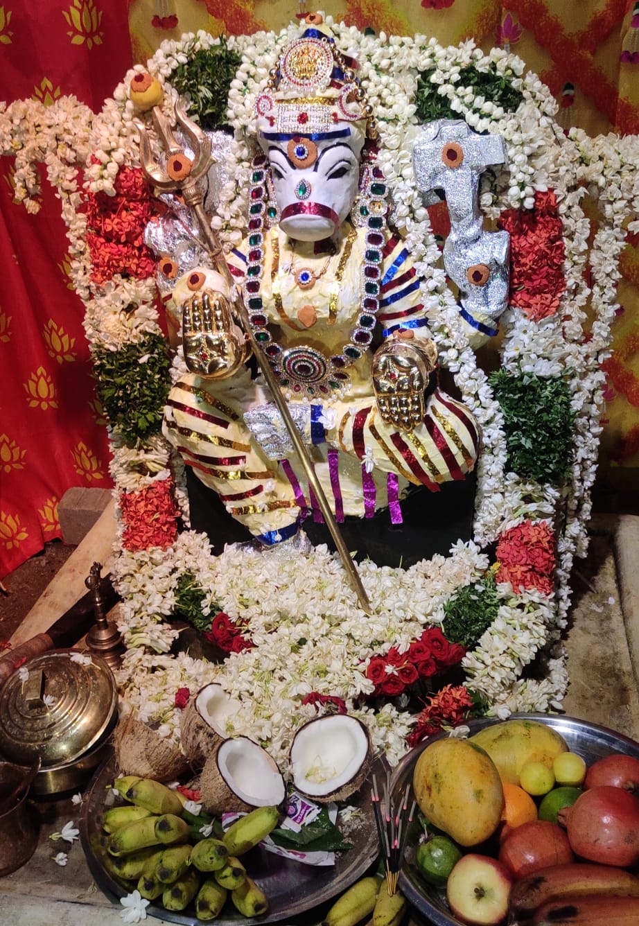 Festival Celebration